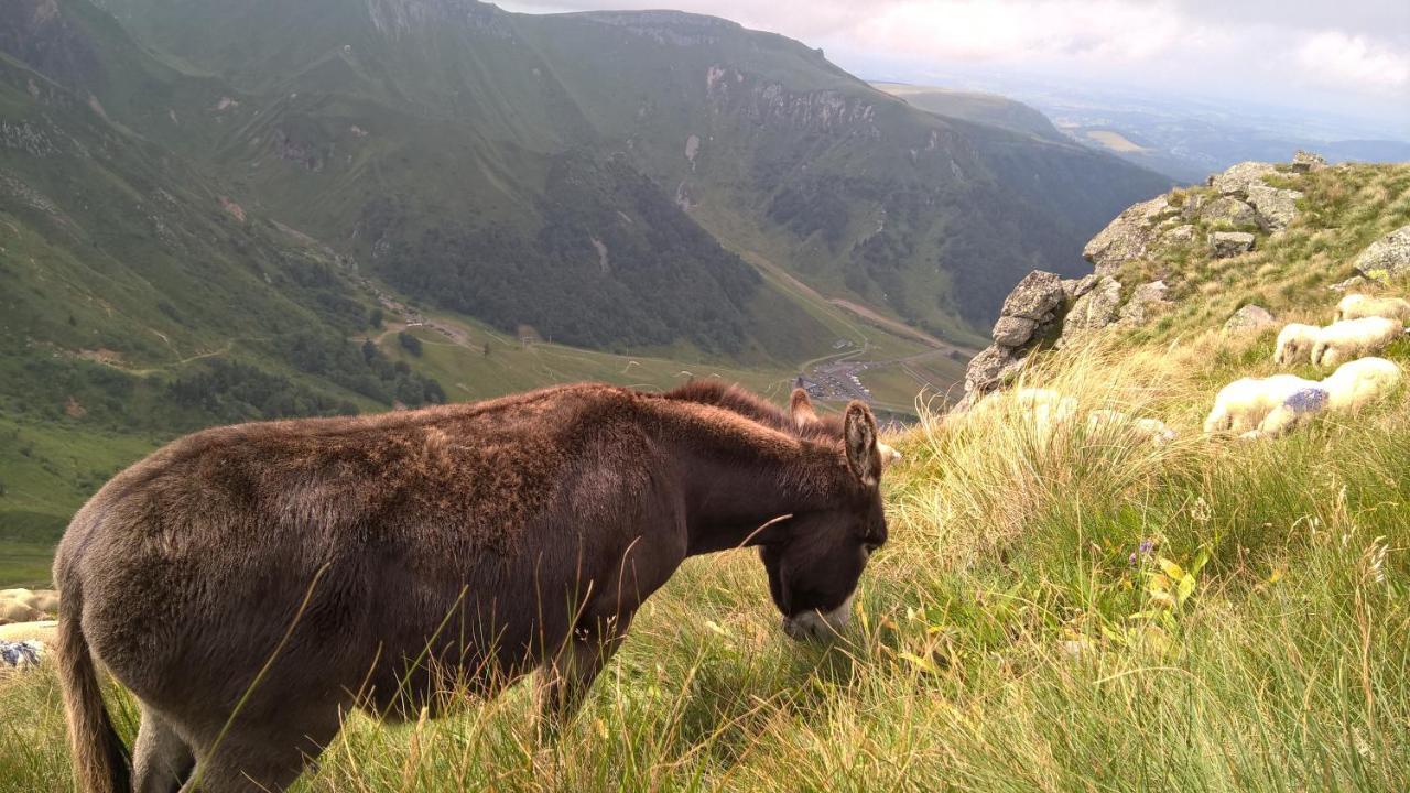 Camping Les Vernieres La Bourboule Sancy Экстерьер фото